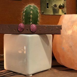 Pink Rhodonite Stud Earrings